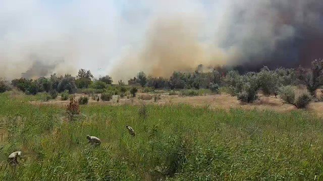 Big wildfire near Mykolaiv as result of Russian shelling overnight