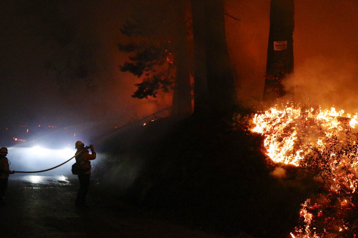 scene of the MosquitoFire