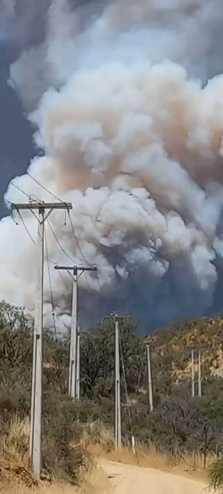 Forest fire in Curacavi. Local firefighters work in 2 sources, one of them declared as 4th alarm. fire_engine 18 cars.