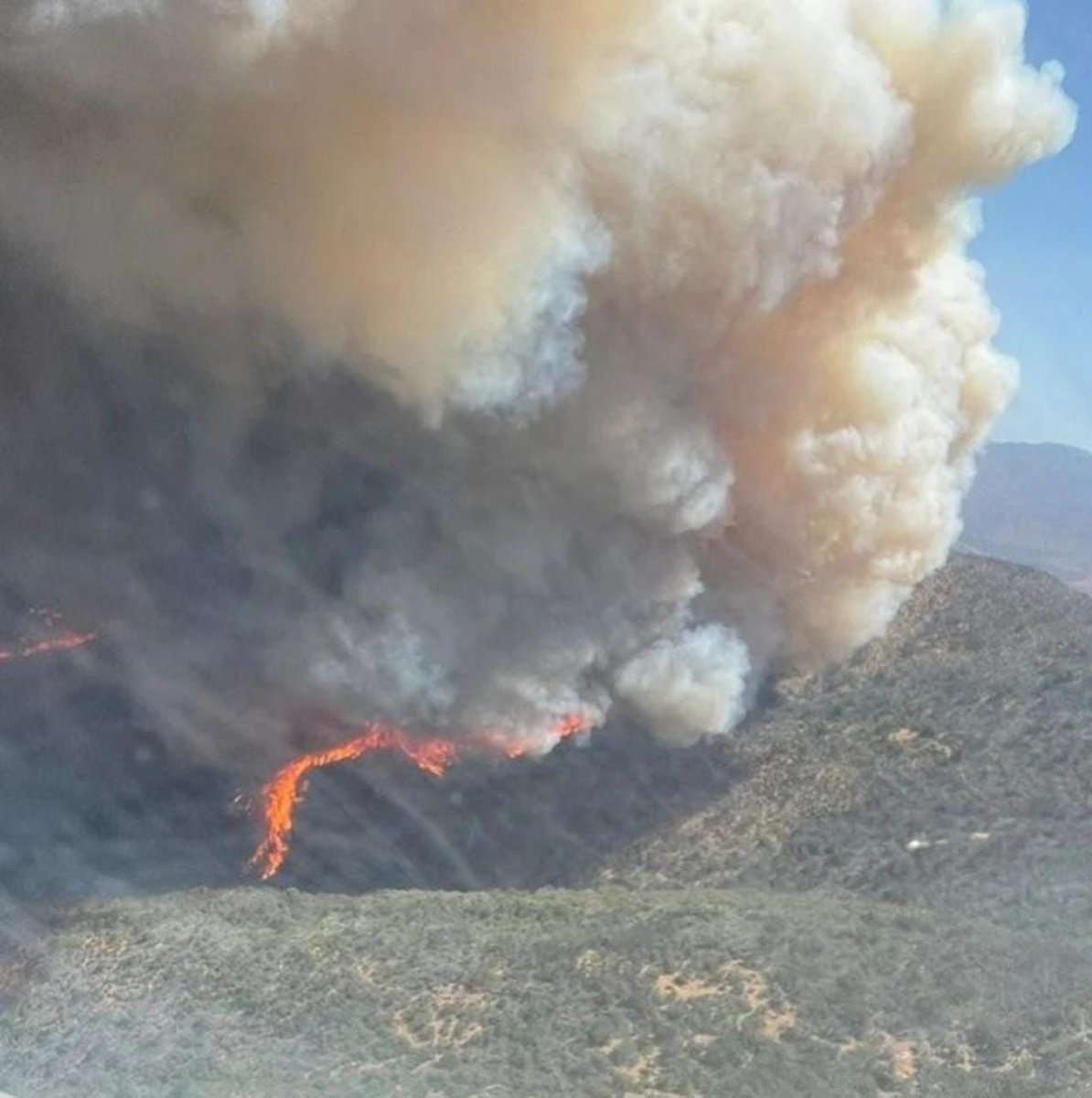 Forest fire in the Curacavi sector