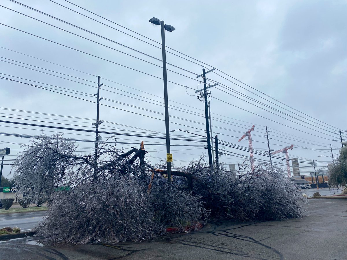 The heavy ice is splitting trees in half.   I took these pics on N. Lamar and Airport Blvd