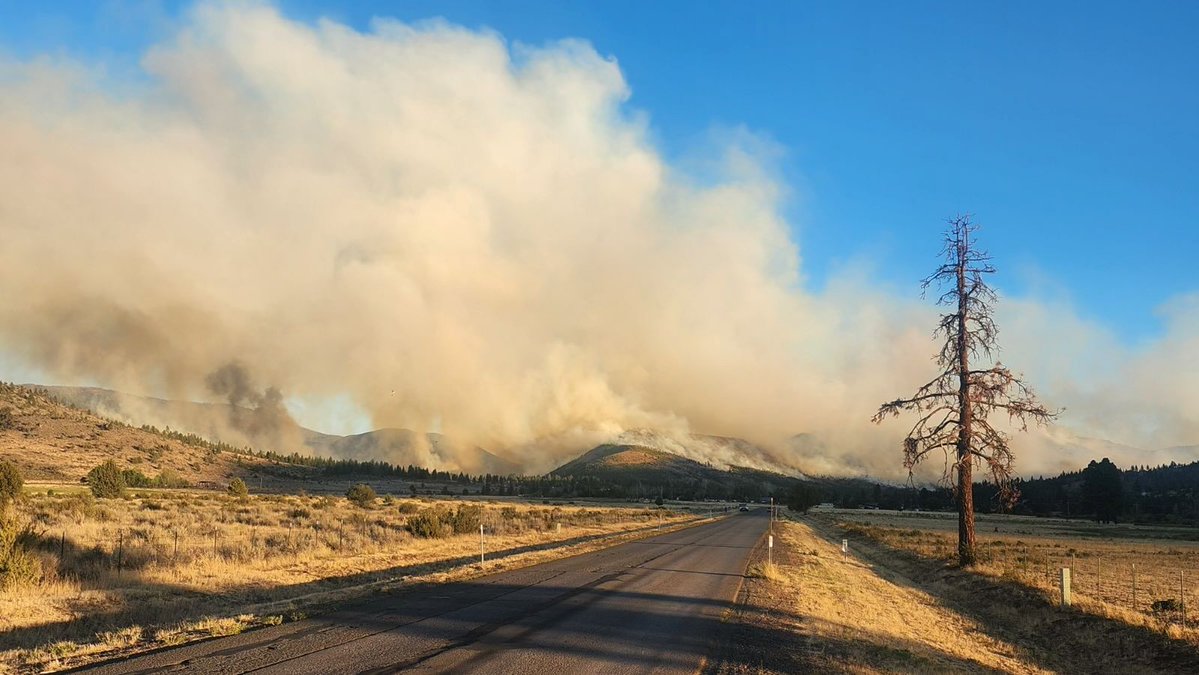 Officials with the Tahoe National Forest say the fire has burned an estimated 800 acres