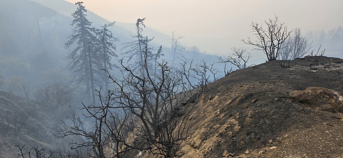 Fire damage from the LineFire on the 330 heading up to Running Springs. As of now, officials say no homes damaged from fire