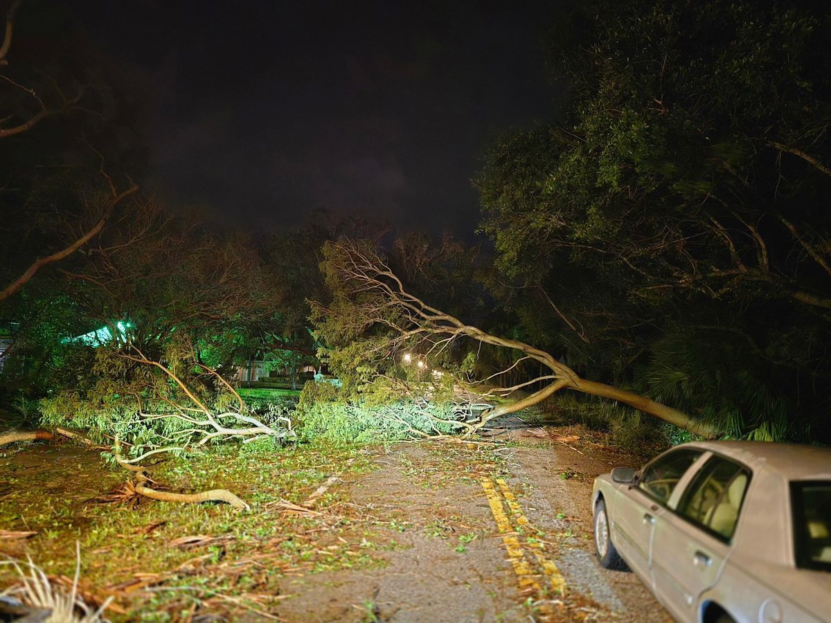 Hillsborough deputies show downed trees and flooded cars from Hurricane Milton