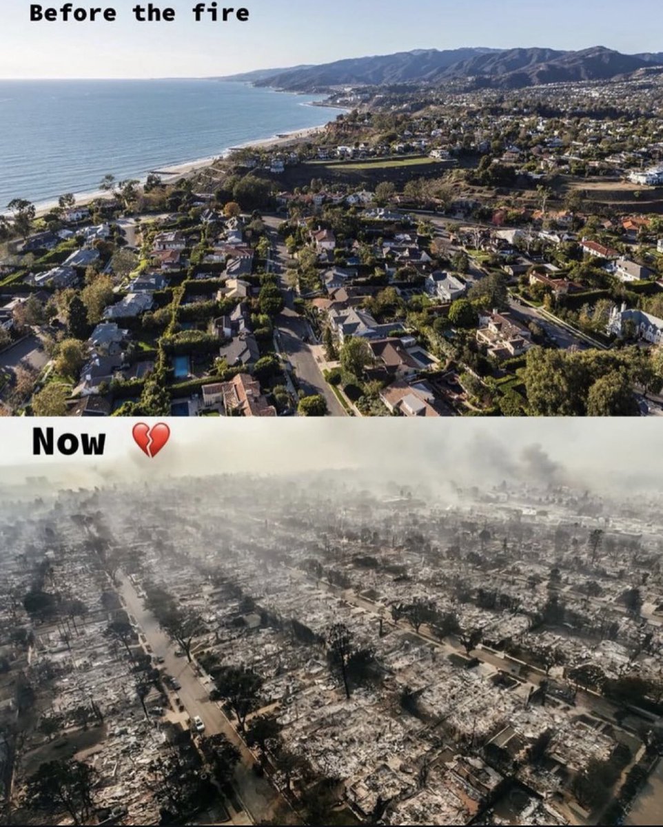 The fires in California will cost around $52 billion in damagesThe most expensive natural disaster in California’s history