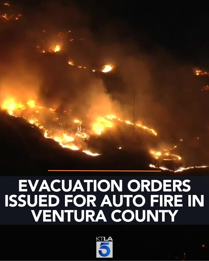 Mandatory evacuation orders issued for residents in the line of autofire.