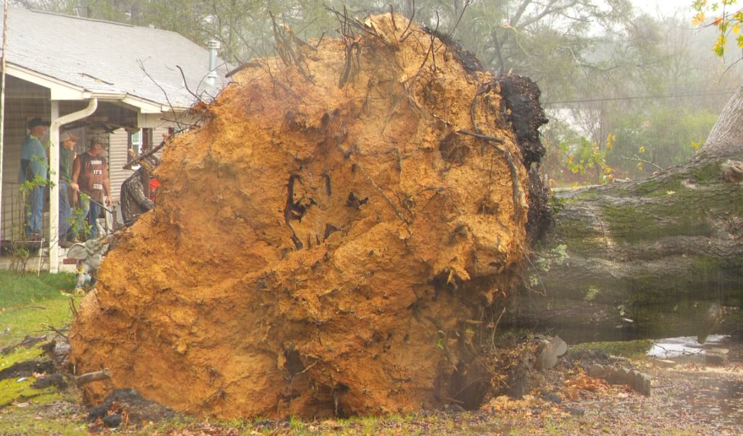 Storms caused significant damage in Mt Olive Tuesday morning