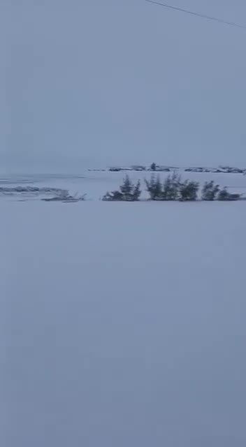 Heavy snowfall in the Hasakah countryside