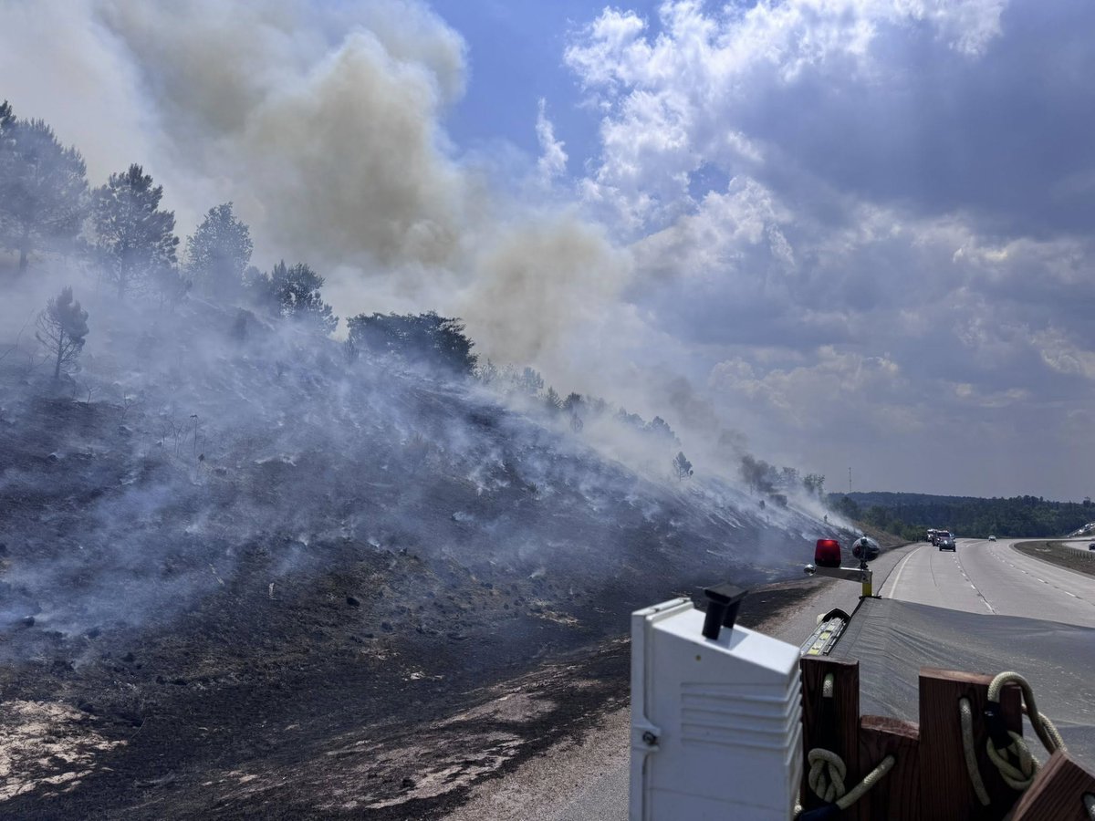 Large brush fire spreads across I-520, officials on scene: