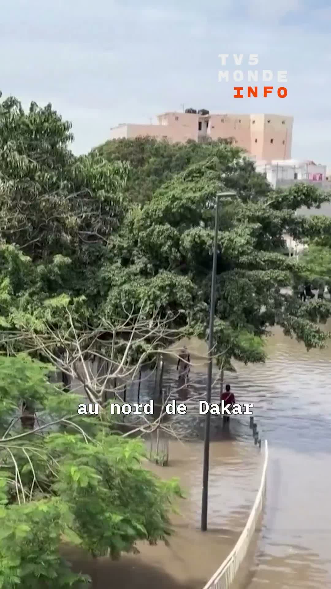Senegal hit by torrential rains. Dakar affected, floods cause chaos in several districts of the capital.